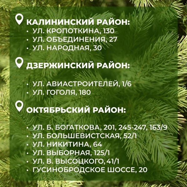 Елочные базары будут работать как на правом, так и на левом берегу  | Источник: Максим Кудрявцев / Telegram