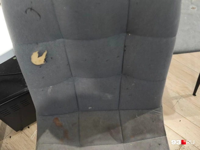 Разодранная обивка мебели | Источник: 93.RU