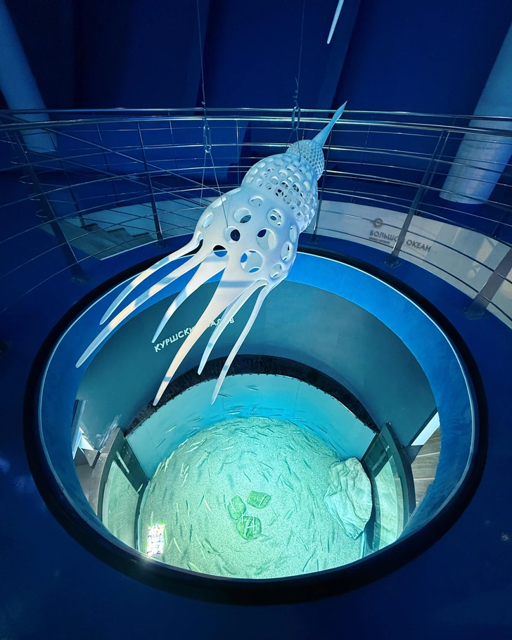 Зал «Большой Океан» | Источник: Андрей Белавин