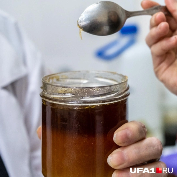 Источник: Булат Салихов / UFA1.RU