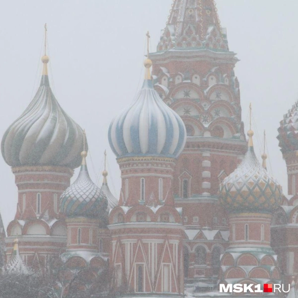 Источник: Татьяна Спиридонова / MSK1.RU