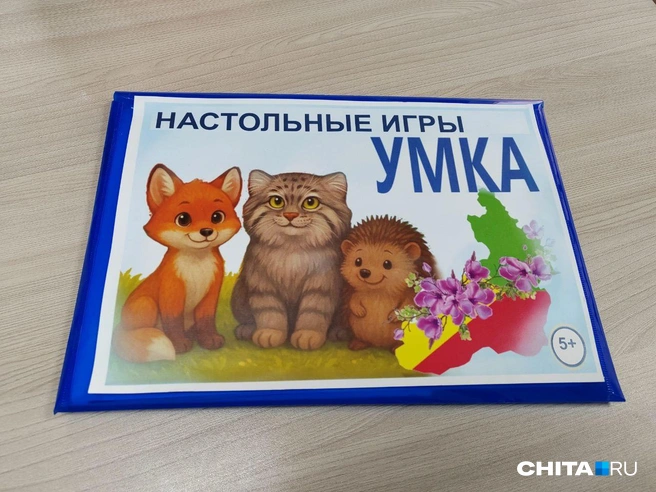 Напечатанные правила и карточки умещаются в папку | Источник: Дарья Кливенкова / CHITA.RU