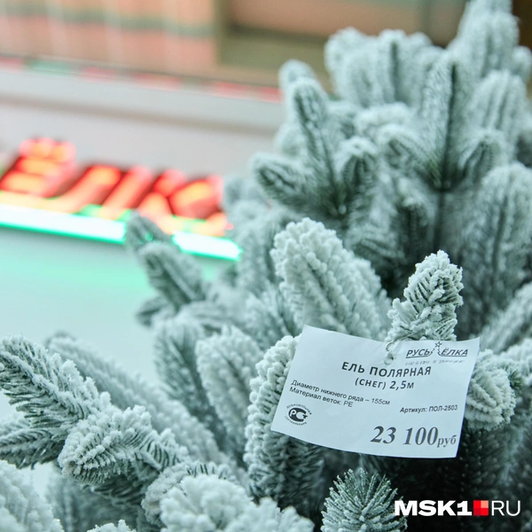 Источник: Дмитрий Толстошеев / MSK1.RU