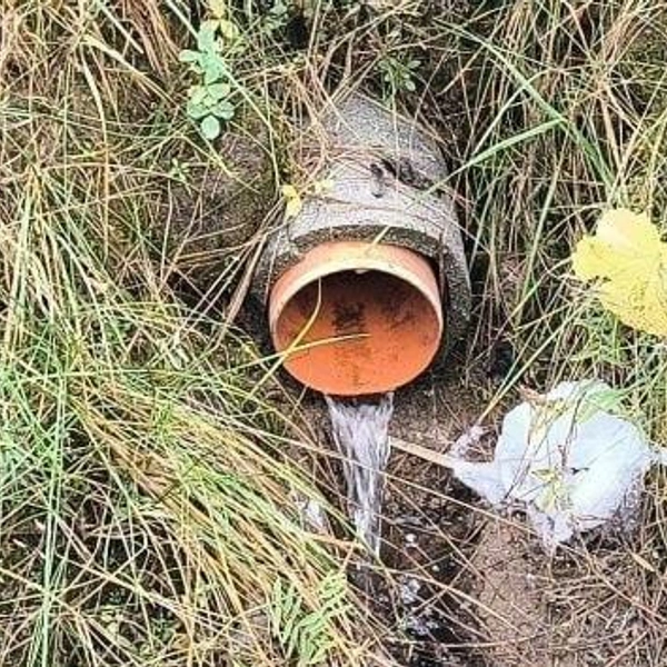 Источник: комитет госэконадзора Ленобласти