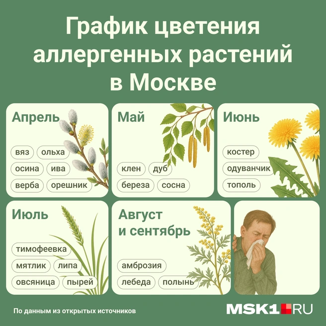 Источник: Мария Романова / Городские медиа