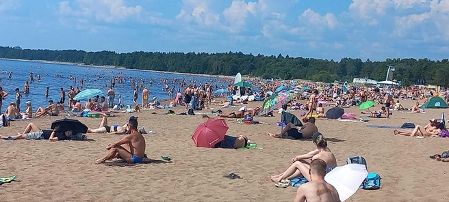 На пляже «Ласковый» в Солнечном отдохнуло рекордное количество горожан | Источник: ГБУ «Курортный берег»