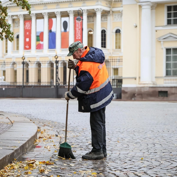 Источник: Комитет по благоустройству Петербурга