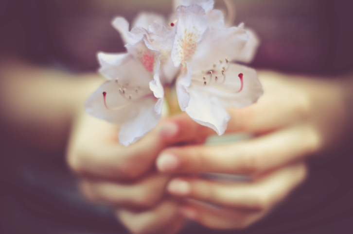 Руки, держащие цветок