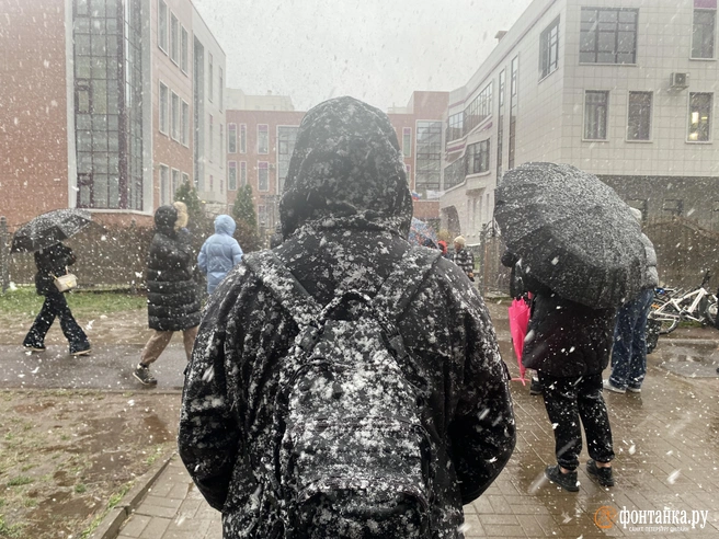 В выходные в Удмуртии ожидается снег | Источник: Сергей Михайличенко / FONTANKA.RU