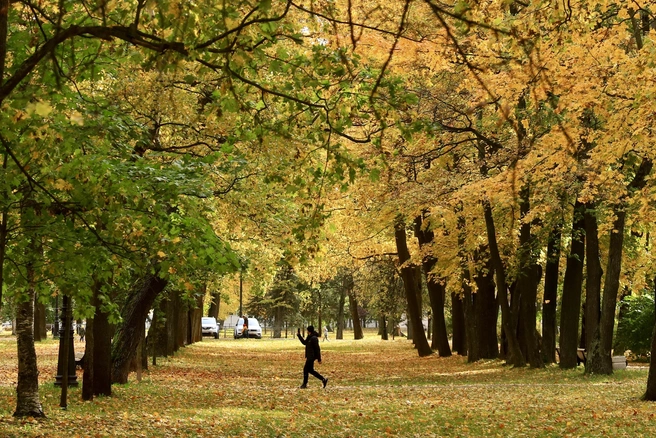 Самый теплый день — суббота. Прогноз погоды на выходные в Петербурге | Источник: Сергей Михайличенко / «Фонтанка.ру»