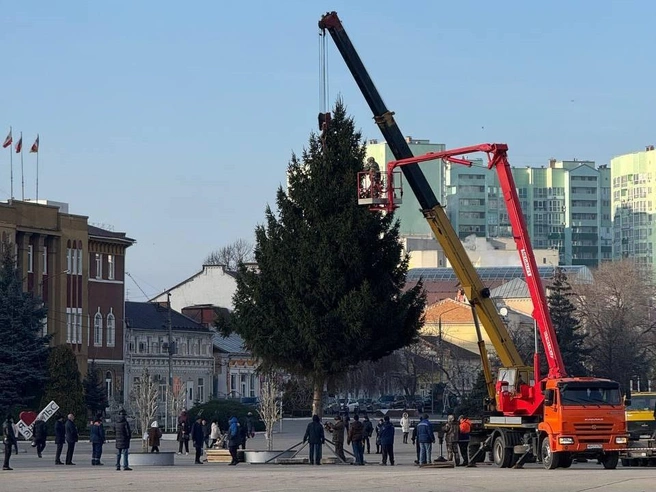 Жители Энгельса радовались новой елке до тех пор, пока не узнали ее происхождение | Источник: Дарья / тг-канал «Саратов: Открылось/Закрылось»
