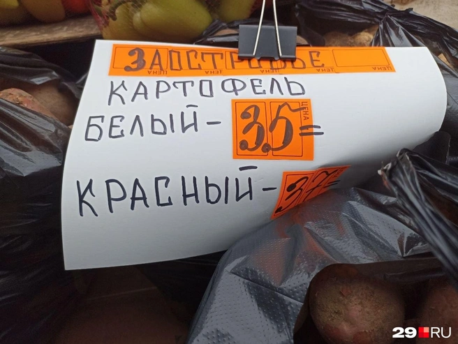 Картофель белый&nbsp;— 35 рублей за кило, красный&nbsp;— 37 рублей | Источник: Иван Митюшёв / 29.RU