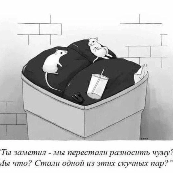 Источник: соцсети