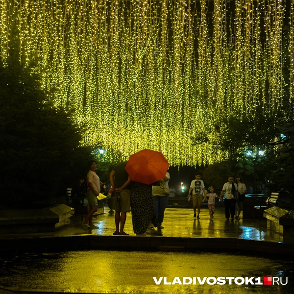 Источник: Елена Буйвол / VLADIVOSTOK1.RU