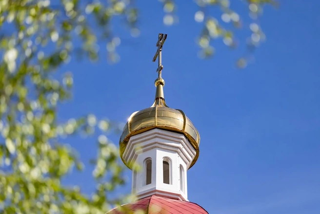 Источник: администрация Сургута / MAX