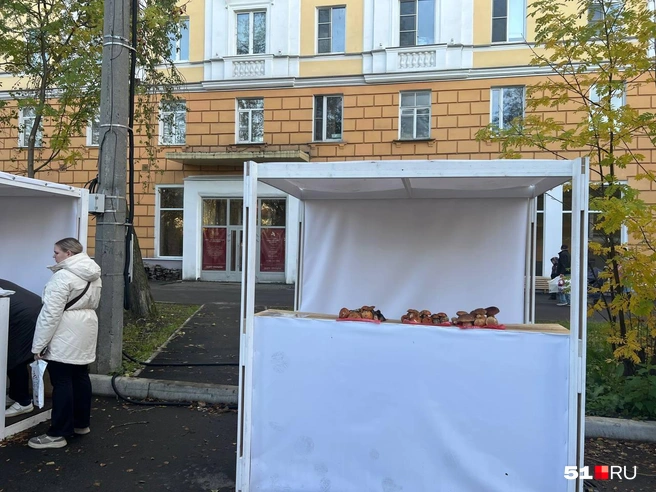 Источник: Александра Балаба