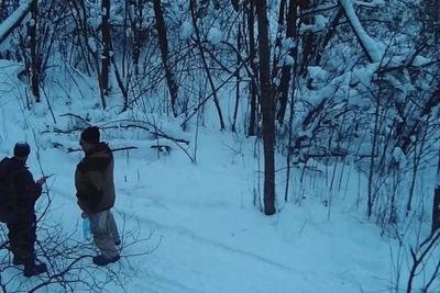 Poachers with gun, dogs detained in St. Petersburg forest