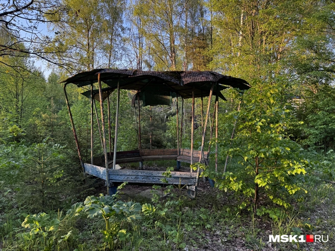 Источник: Алина Мельникова / MSK1.RU