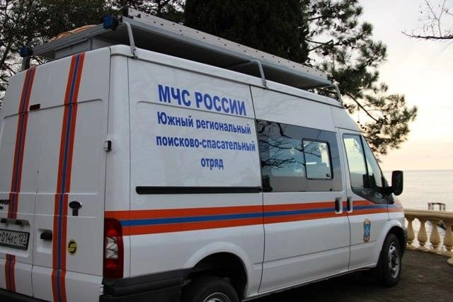 Спасатели прорубили в колючках проход к пострадавшему | Источник: urpso_mchs / t.me