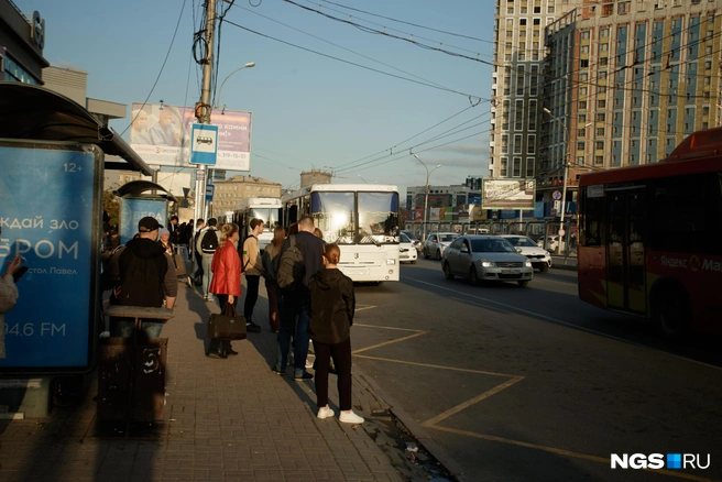 В ряд стоит сразу несколько павильонов  | Источник: Андрей Бортко / NGS.RU