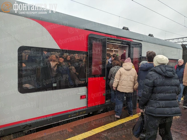 Час пик на Финляндском. Пассажиры с трудом влезли в «Ласточку» на Выборг | Источник: читатель «Фонтанки»