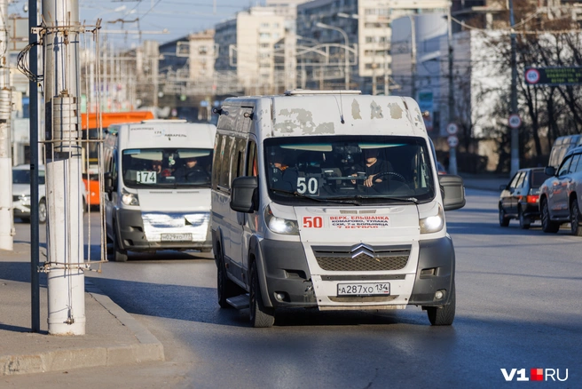 Перевозчик уверяет: уже в августе маршруток станет больше | Источник: Алексей Волхонский / V1.RU