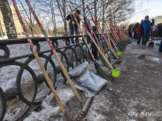 Источник: www.city-n.ru