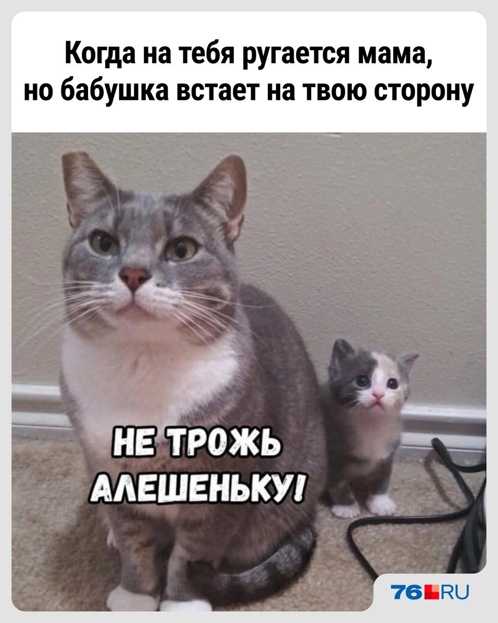 А вы жаловались бабушкам на поведение родителей? | Источник: Городские медиа