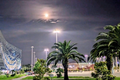 Сочи и Сириус сняли угрозу атаки беспилотников