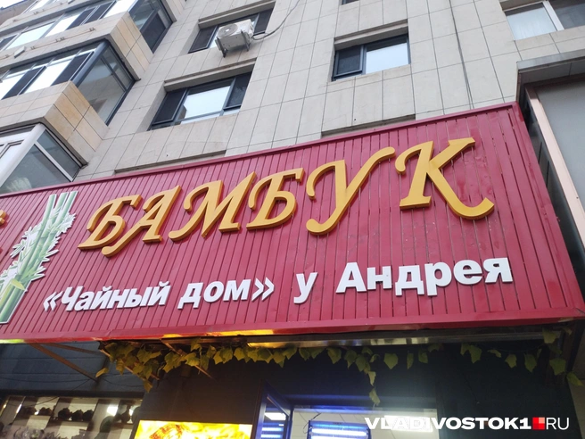 Источник: Екатерина Дымова / VLADIVOSTOK1.RU