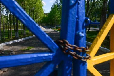 39 детей вернутся из «Артека» в Воронежскую область