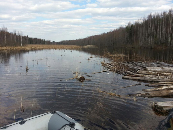 Спортсмен предпочитает добывать мысо и дичь в таких диких местах, как Поволжье