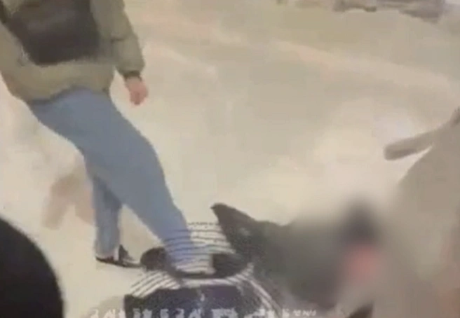 Школьника избили на улице Высоцкого | Источник: «Инцидент Новосибирск» / Telegram