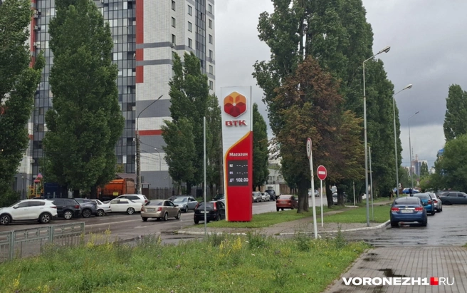 В наличии — только ДТ | Источник: Алёна Воропаева / Voronezh1.ru
