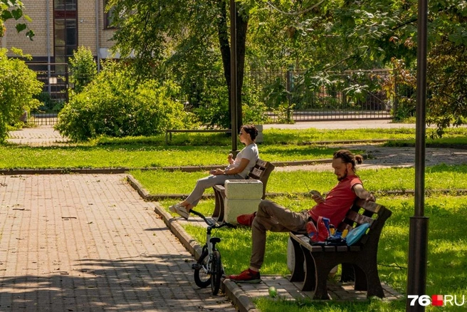 Какой будет погода в Ярославле | Источник: Кирилл Поверинов / 76.RU