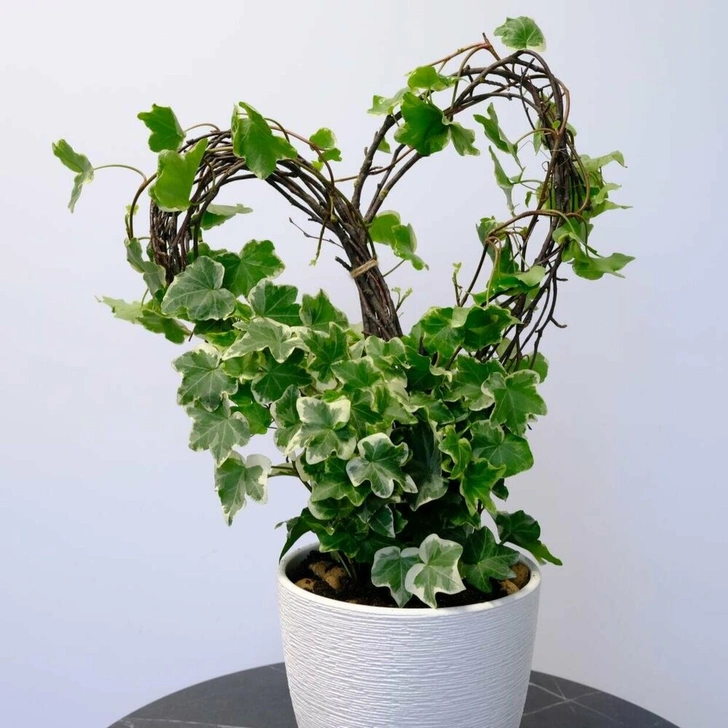 Источник: Flowwow