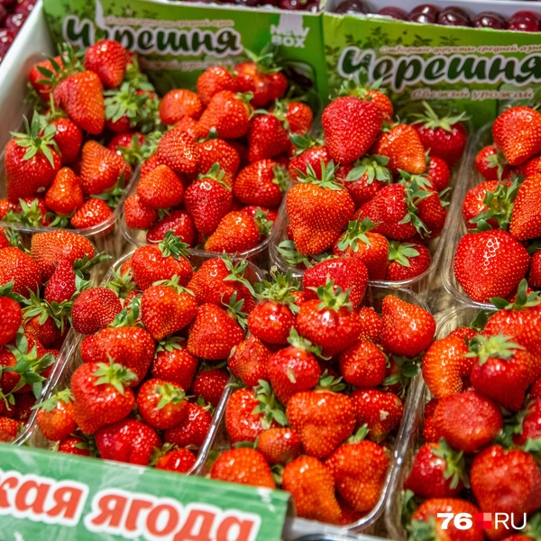На рынке стоимость ягод варьируется от 700 до 1200 рублей | Источник: Кирилл Поверинов / 76.RU