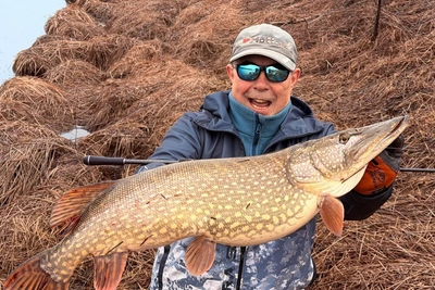 В Волгоградской области ввели запрет на ловлю судака и рыбца