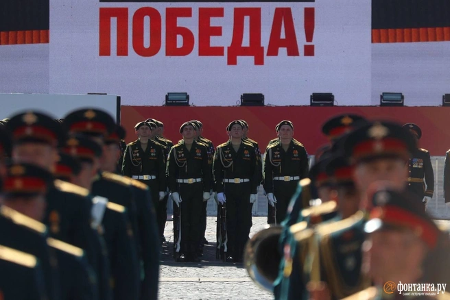 Источник: Сергей Михайличенко / «Фонтанка.ру»