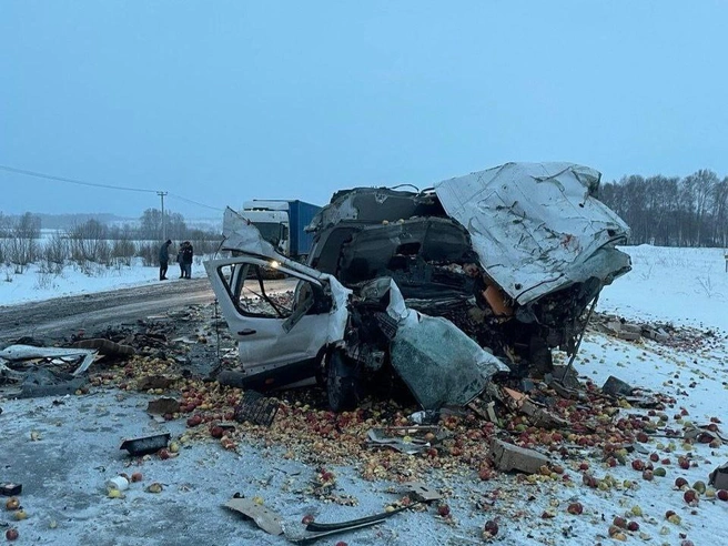 «Форд Транзит» ехал со стороны Барнаула | Источник: Госавтоинспекция Новосибирская область