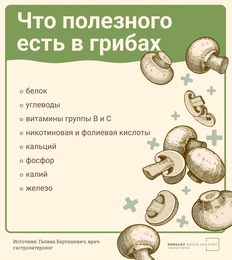 Эти полезные элементы вы найдете практически во всех грибах | Источник: Виталий Калистратов / Городские порталы