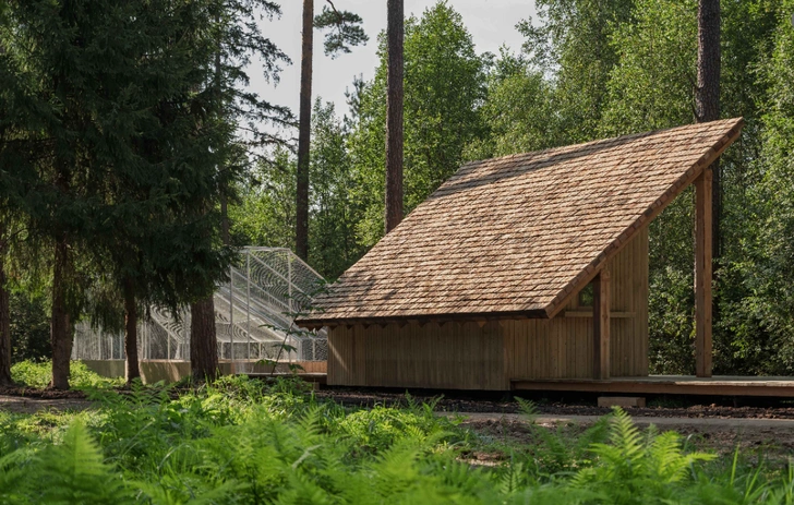 Wood is sexy: 5 трендов премии Архиwood-2025