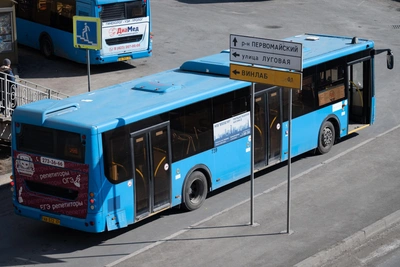 Владивосток ищет перевозчиков на 24 автобусных маршрута