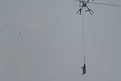 Свинья на дроне оставила деревню без света