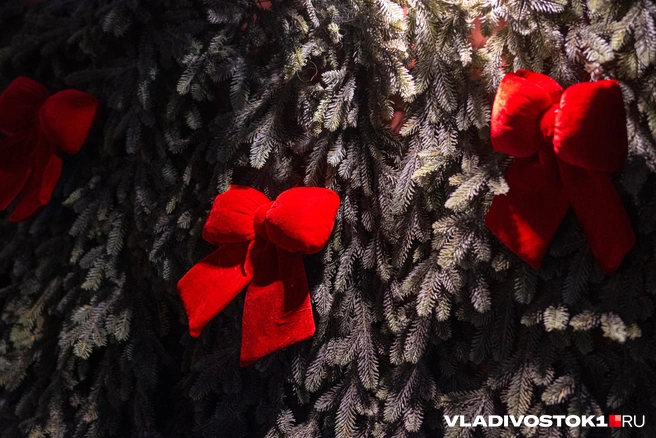 Источник: Елена Буйвол / VLADIVOSTOK1.RU