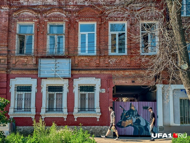 Такие тоже встречаются, но чаще | Источник: Булат Салихов / UFA1.RU