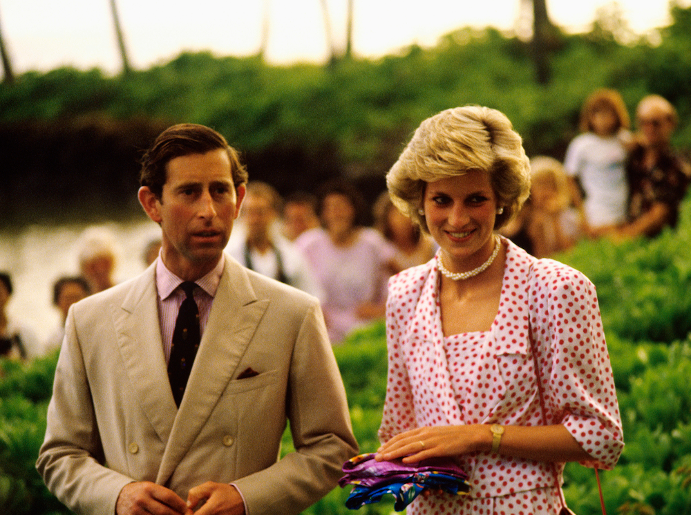 Как принцесса Диана потеряла самообладание во время дипломатического ужина | marieclaire.ru