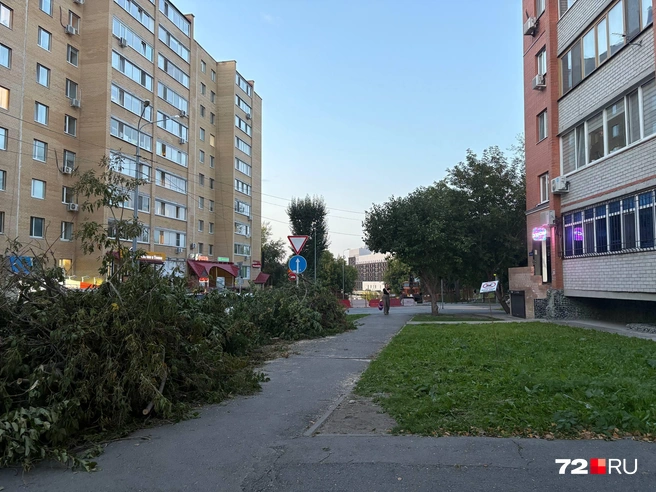 Источник: 72.RU