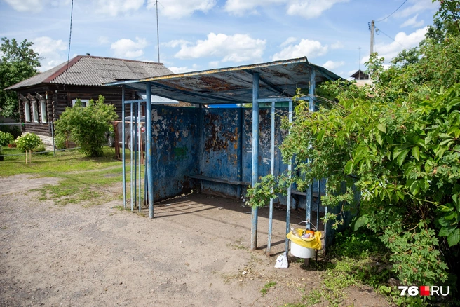 В деревне стоит только одна остановка&nbsp;— по направлению в Ярославль | Источник: Кирилл Поверинов / 76.RU