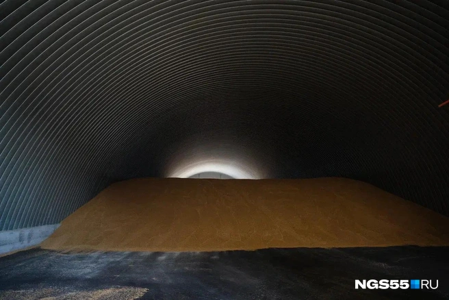 В области не хватает мощностей для хранения рекордного урожая  | Источник: Евгений Софийчук / NGS55.RU 